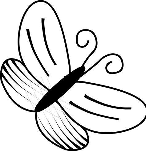 cartoon black and white butterfly|black and white butterfly clipart.